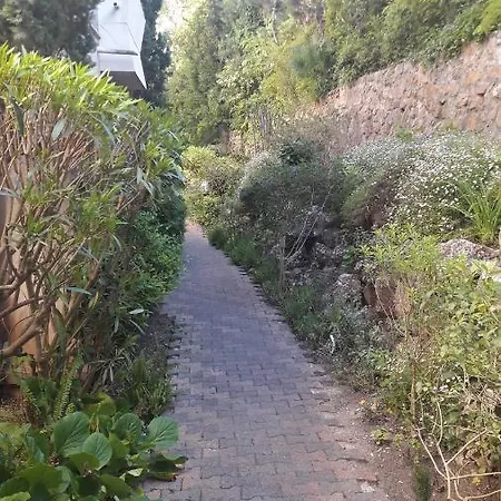 Sylphides Mg * Антиб