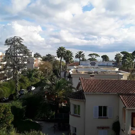 Sylphides Mg * Антиб